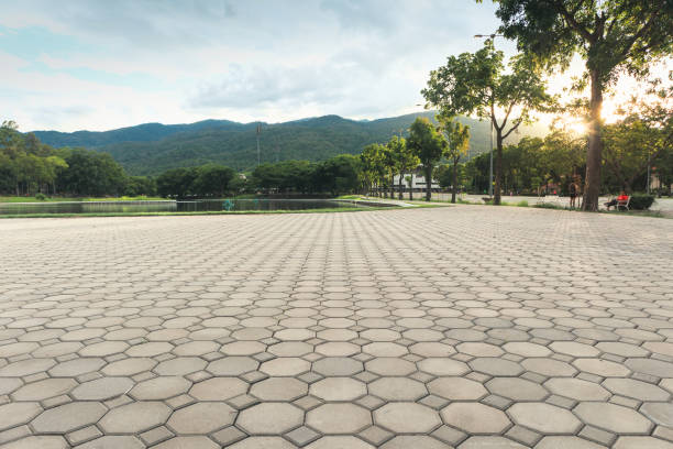 Best Driveway Pavers for Homes  in Browns Lake, WI